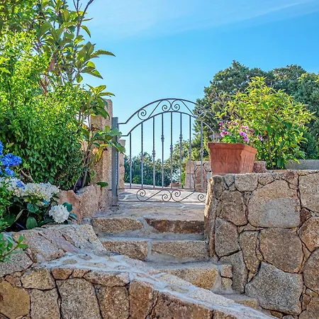 Vila La Maddalena 8&1, Vasilius